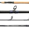 Shimano 2022 Teramar Southeast Casting Rods