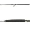 Shimano Terez BW BFC Spinning Rods