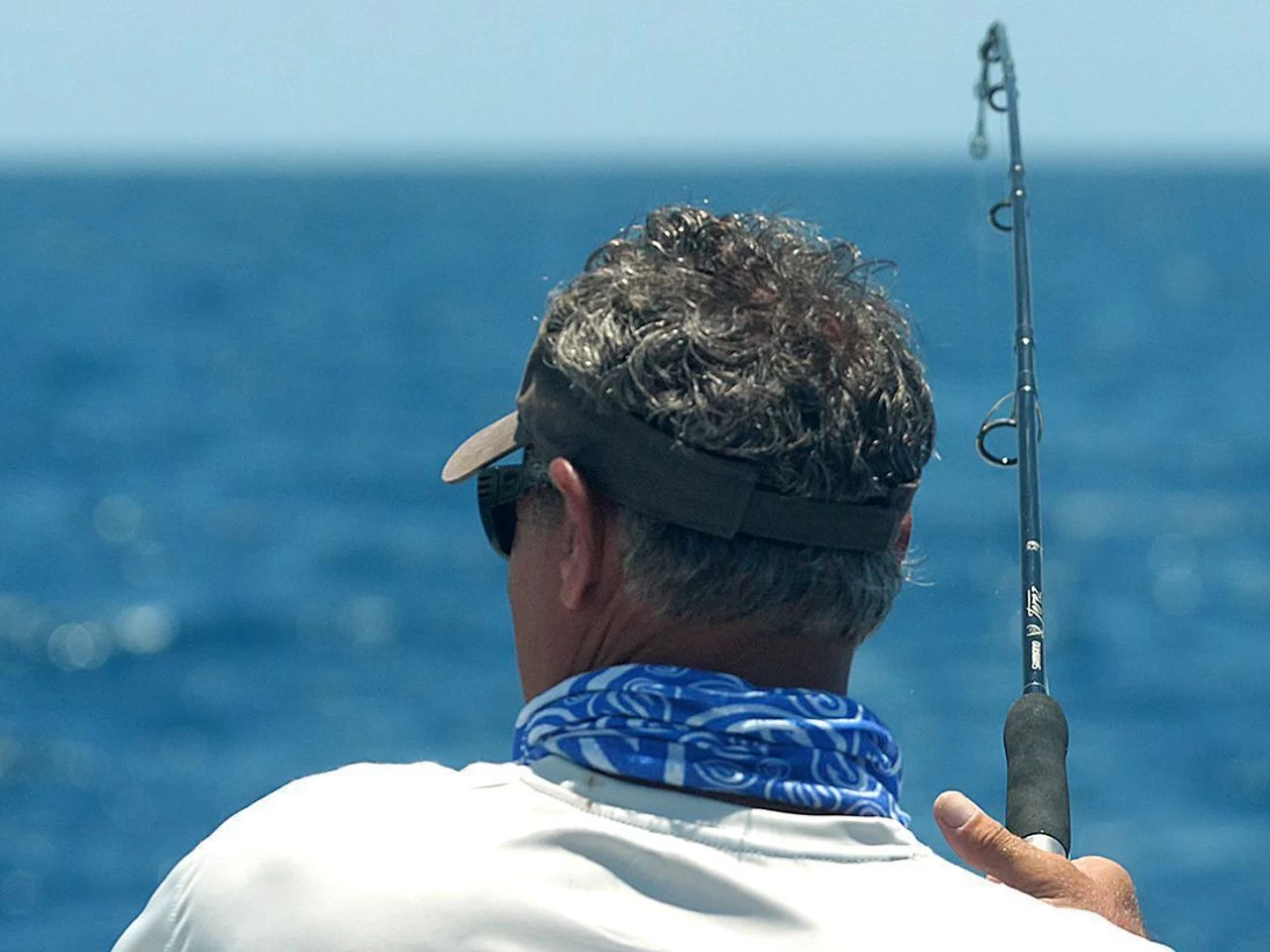 Shimano Terez Spinning Rods - Image 3