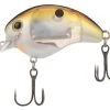 Shimano World Rush Square Bill Crankbait
